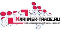 Информационный бизнес-проект